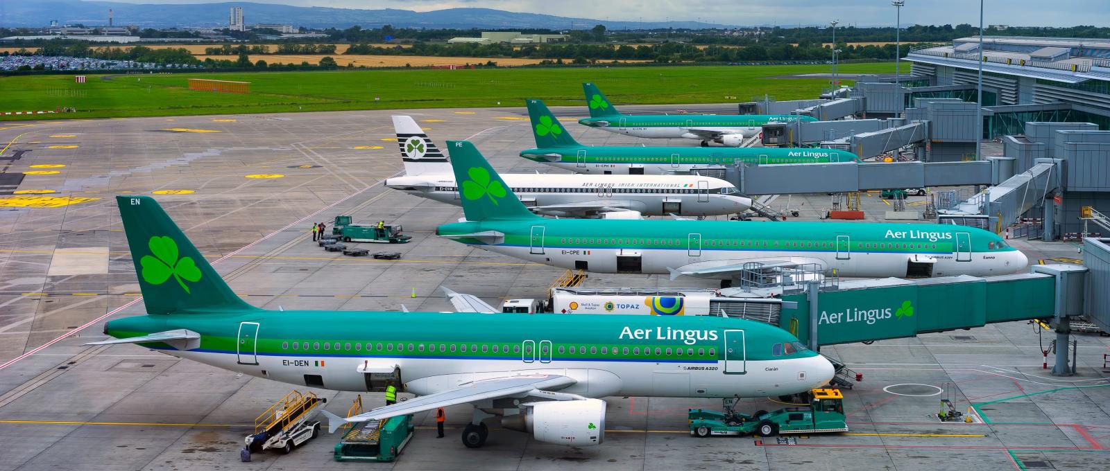 Aer Lingus flygplan som står parkerade vid olika gater på en flygplats.