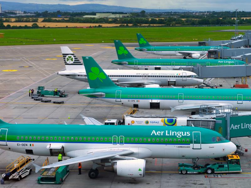 Aer Lingus flygplan som står parkerade vid olika gater på en flygplats.