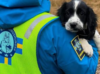 En kvinna som är volontär för att hitta försvunna personer håller i en sökhund.