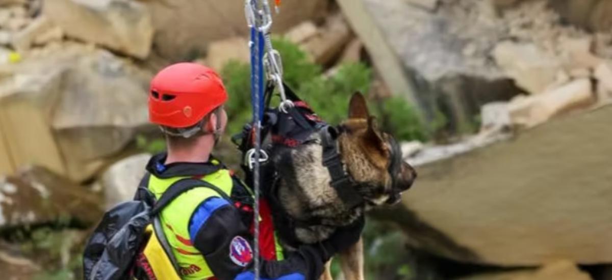 Man som åker zipline med en sökhund.