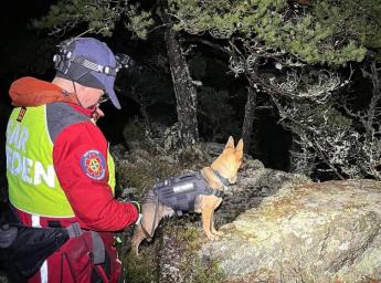 En man går i skogen med en sökhund.