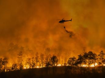En skog som brinner och en helikopter som släpper vatten för att släcka skogsbranden